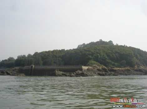 07.05.06.����������