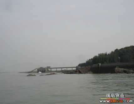 07.05.06.����������