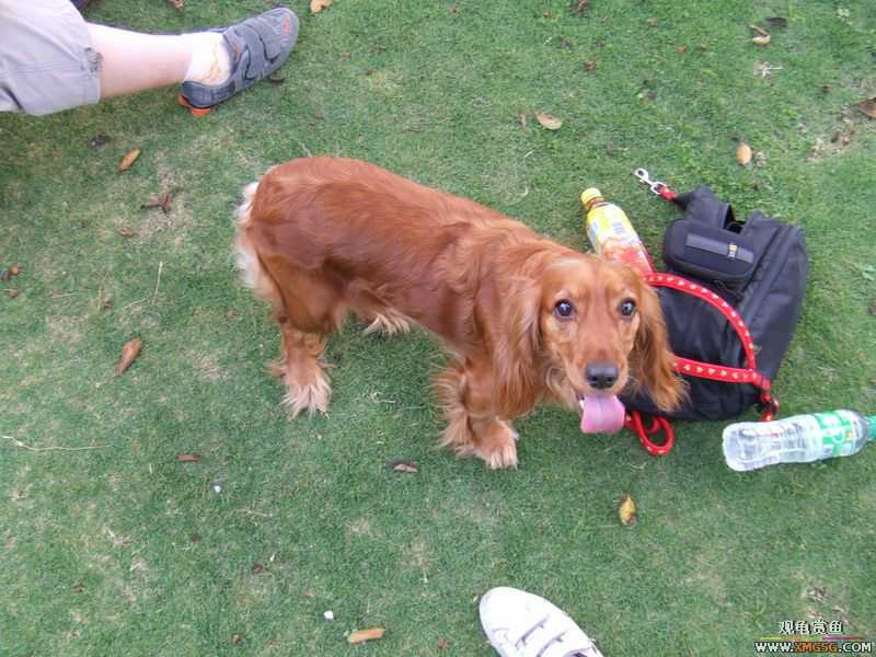 [ԭ��]������ֻ�ɿ�С�ۼǡ�