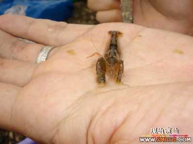 07.05.06.����������