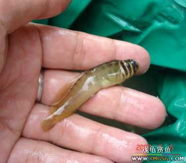 07.05.06.����������