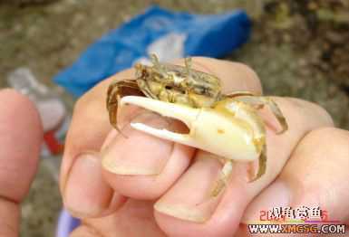 07.05.06.����������