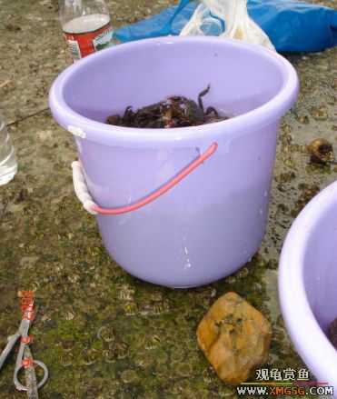 07.05.06.����������