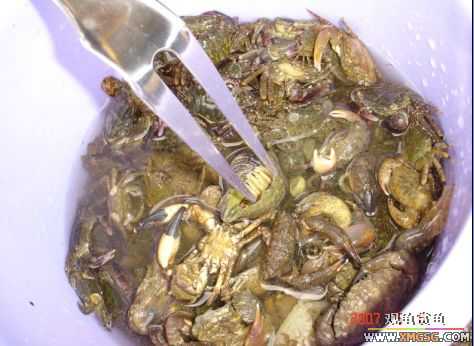 07.05.06.����������