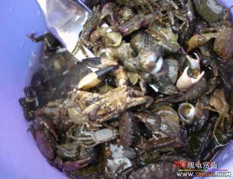 07.05.06.����������