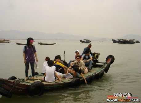 07.05.06.����������