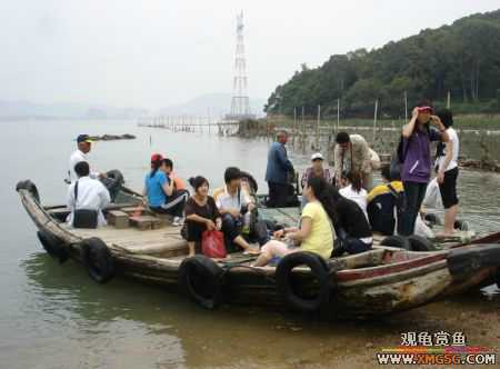 07.05.06.����������