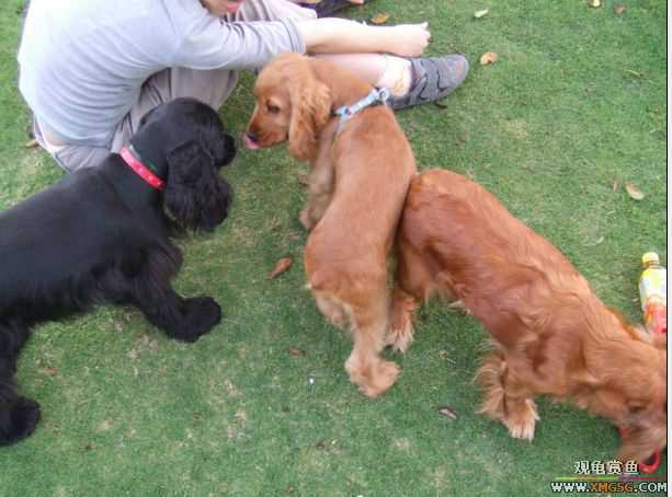 [ԭ��]������ֻ�ɿ�С�ۼǡ�