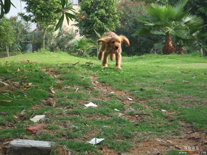 [ԭ��]������ֻ�ɿ�С�ۼǡ�