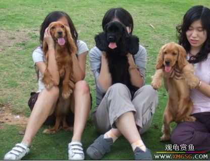 [ԭ��]������ֻ�ɿ�С�ۼǡ�