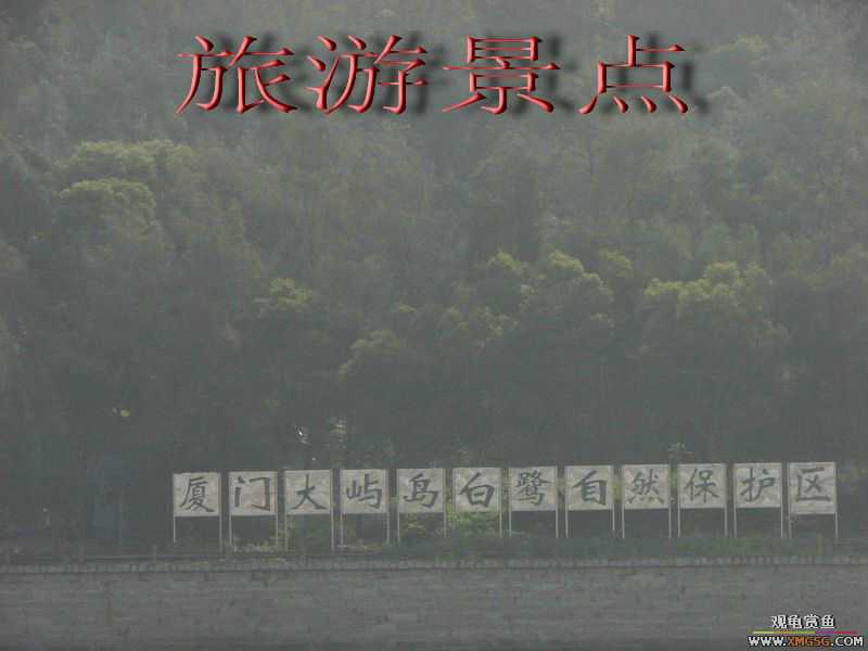 07.05.06.����������