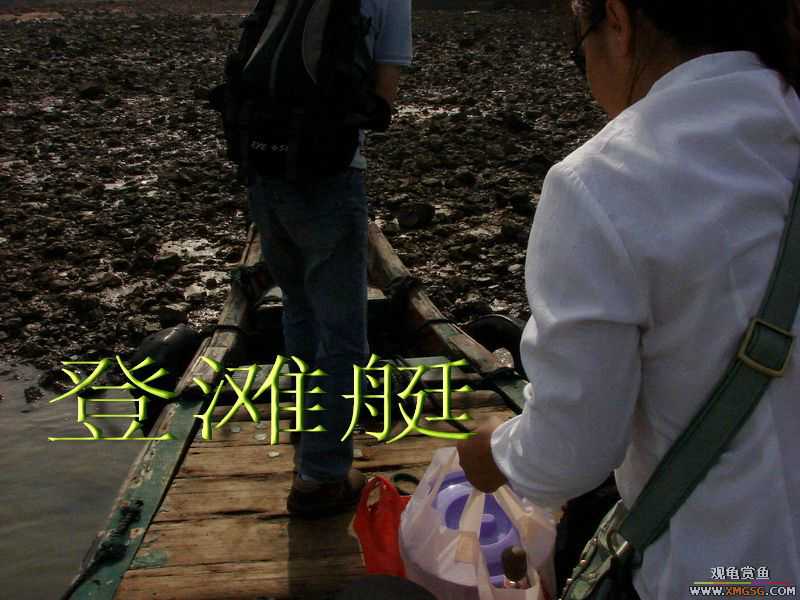 07.05.06.����������