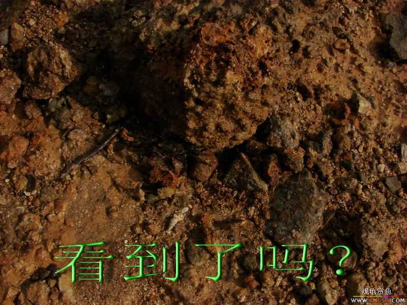 07.05.06.����������