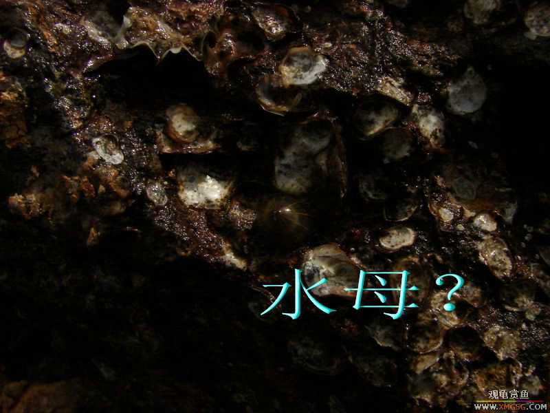 07.05.06.����������