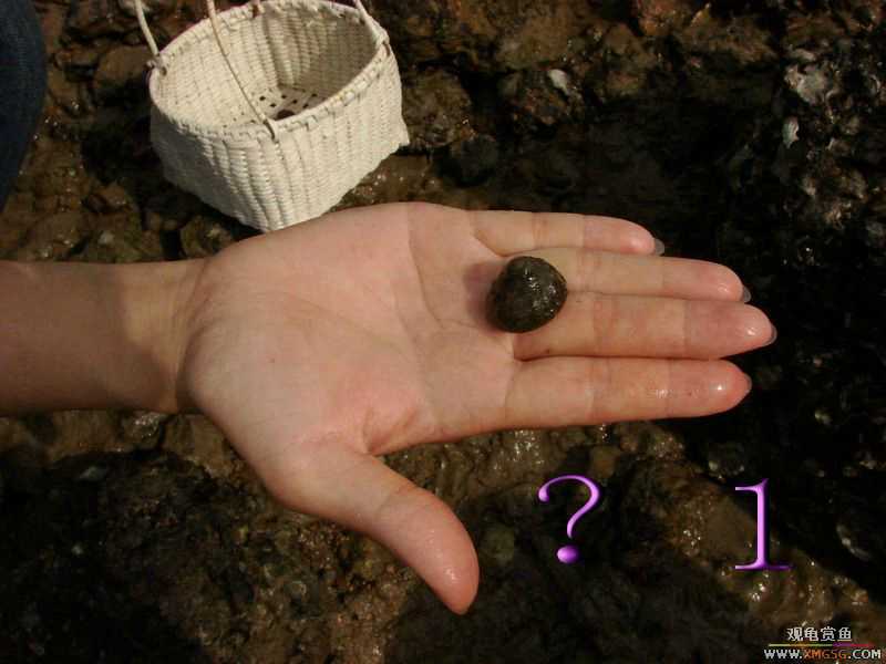 07.05.06.����������