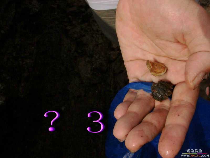 07.05.06.����������