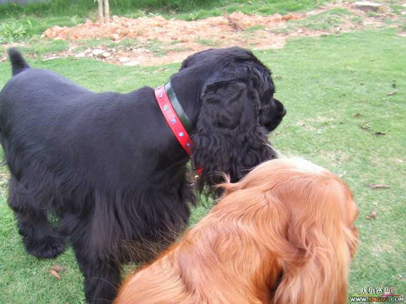 [ԭ��]������ֻ�ɿ�С�ۼǡ�