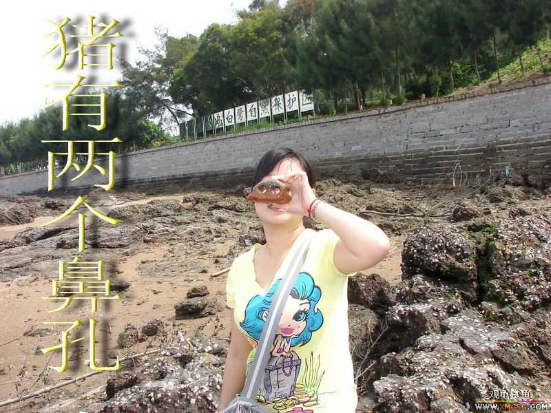 07.05.06.����������