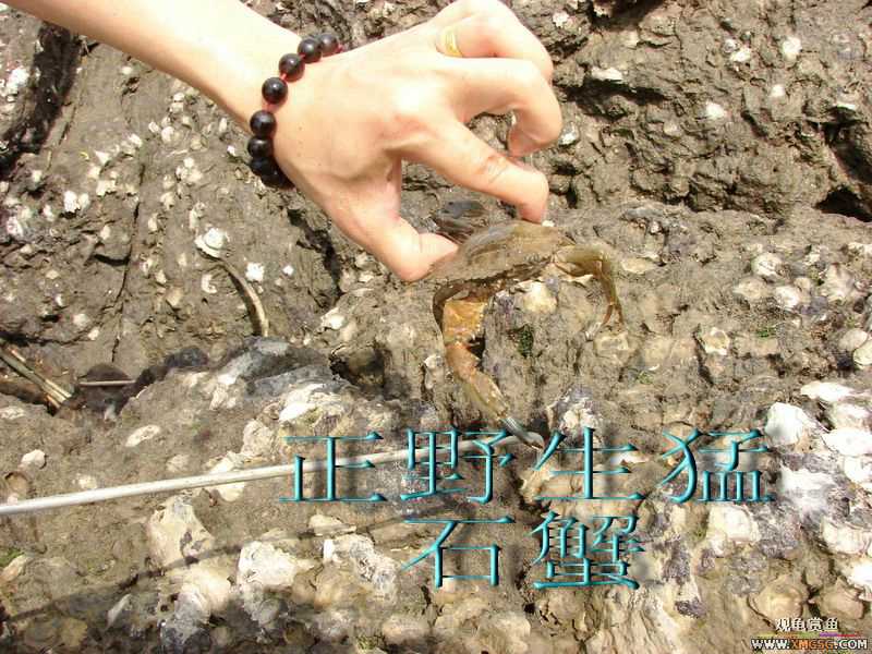 07.05.06.����������