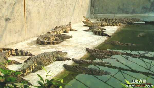 ��5.1���й��