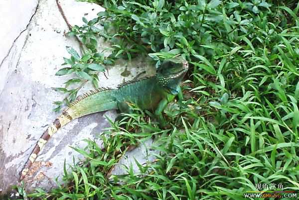 ��5.1���й��