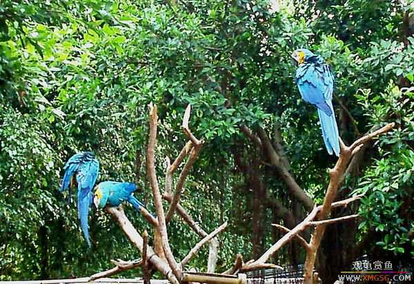 ��5.1���й��