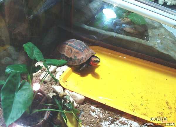 ��5.1���й��