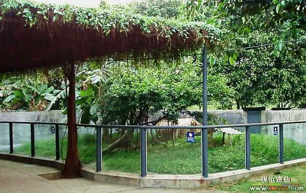 ��5.1���й��