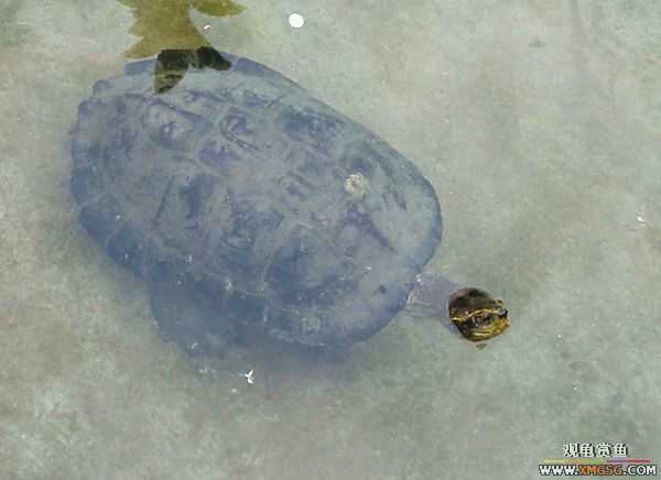 ��5.1���й��