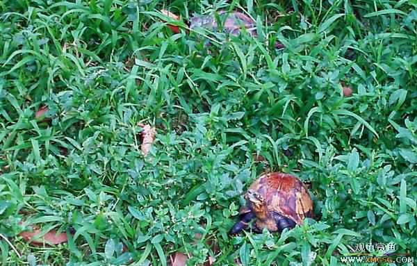 ��5.1���й��