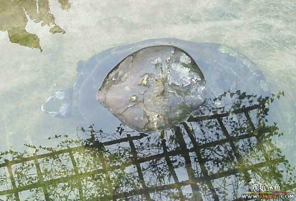 ��5.1���й��