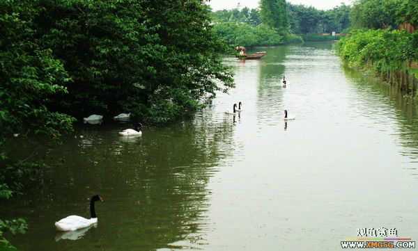 ��5.1���й��