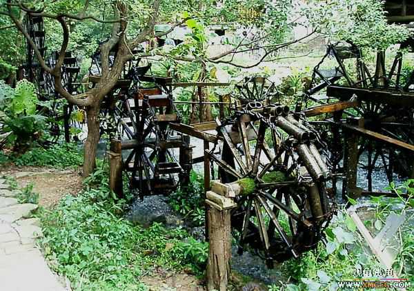 ��5.1���й��