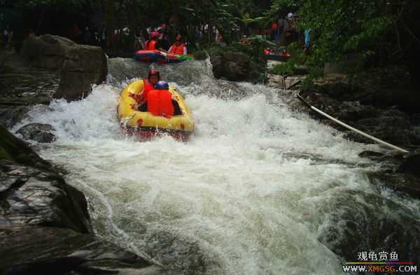 ��5.1���й��