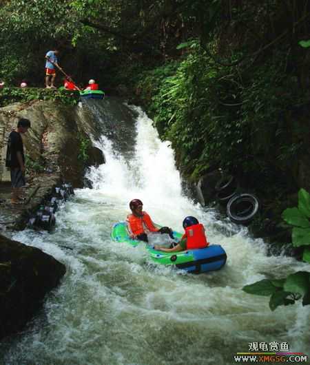 ��5.1���й��