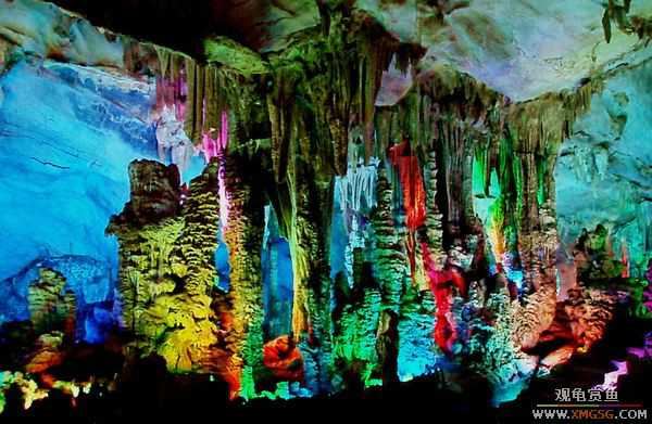 ��5.1���й��