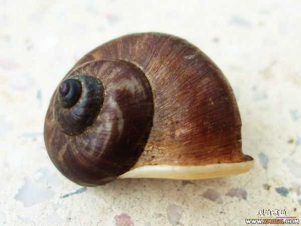 ��5.1���й��