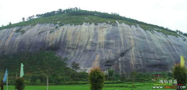 ��5.1���й��