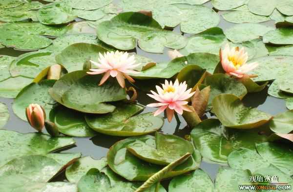 ��5.1���й��