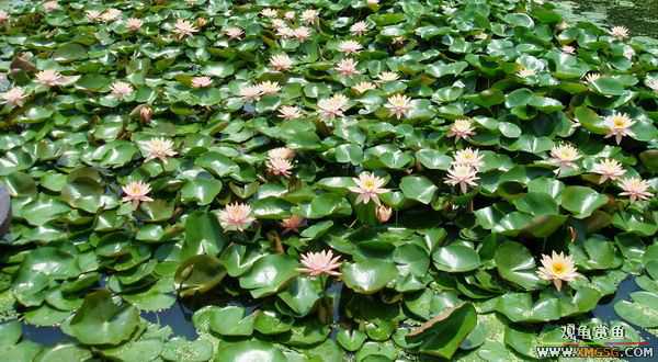 ��5.1���й��