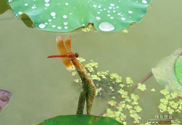 ��5.1���й��