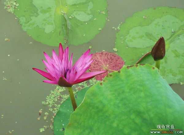 ��5.1���й��