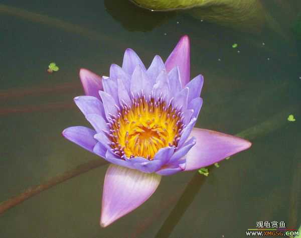 ��5.1���й��