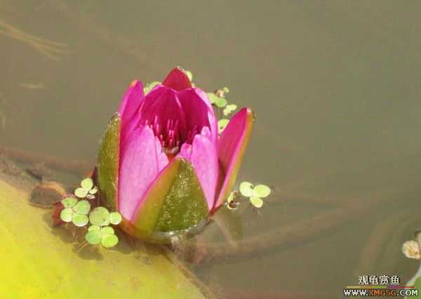 ��5.1���й��