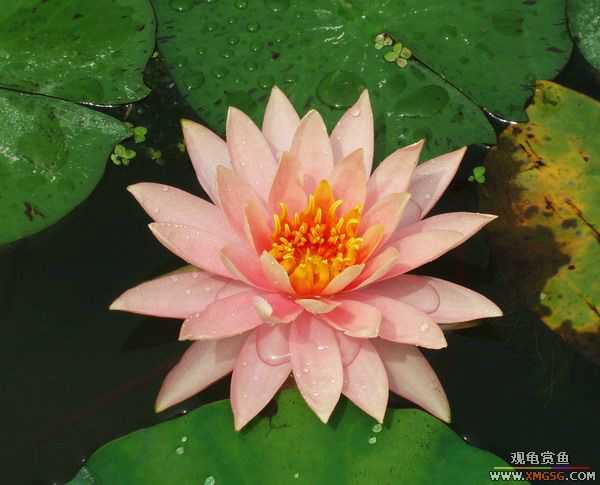 ��5.1���й��