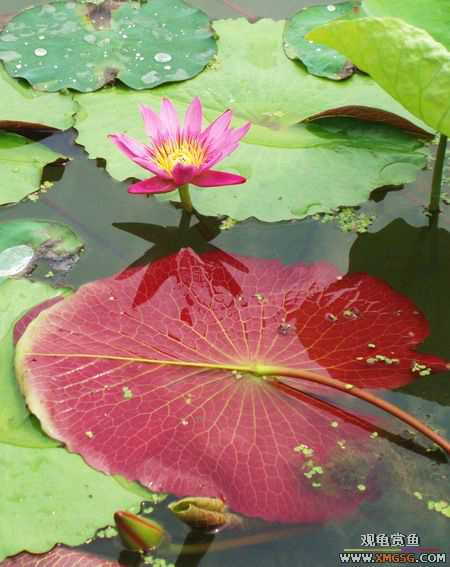 ��5.1���й��