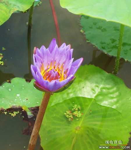 ��5.1���й��