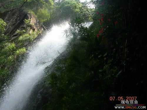 [ԭ��]������ɽ����ɭ�ֹ�԰�μ�1