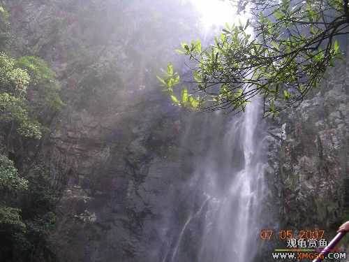 [ԭ��]������ɽ����ɭ�ֹ�԰�μ�1