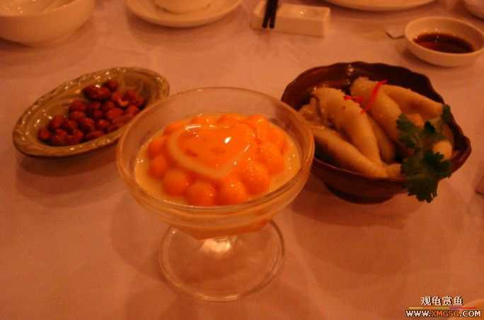 [ԭ��]��ҹ��������ҹ